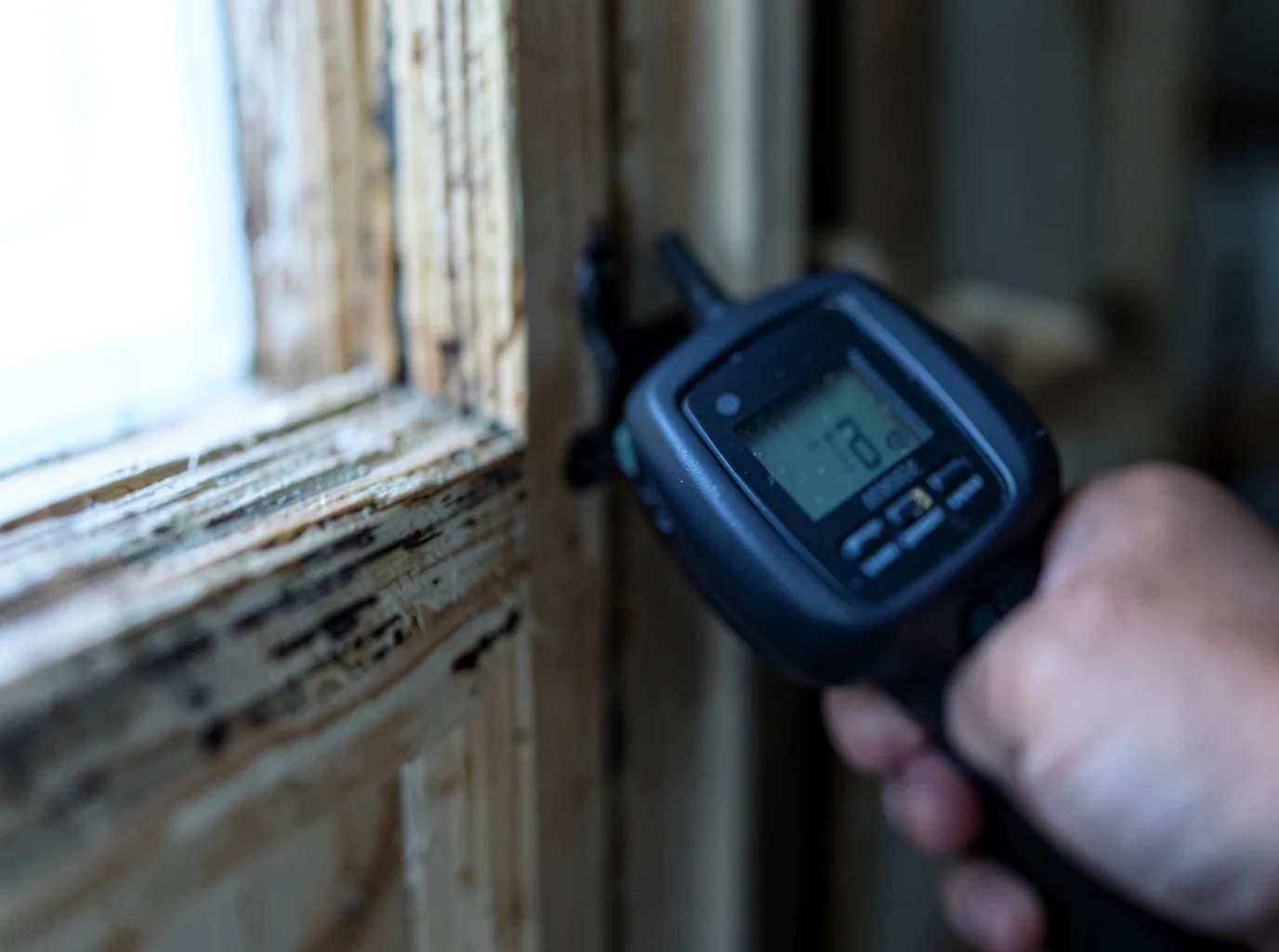Commercial Water Damage Restoration in Walterville, OR